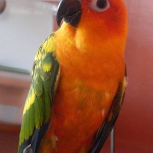 Meet your Posher, Dylan